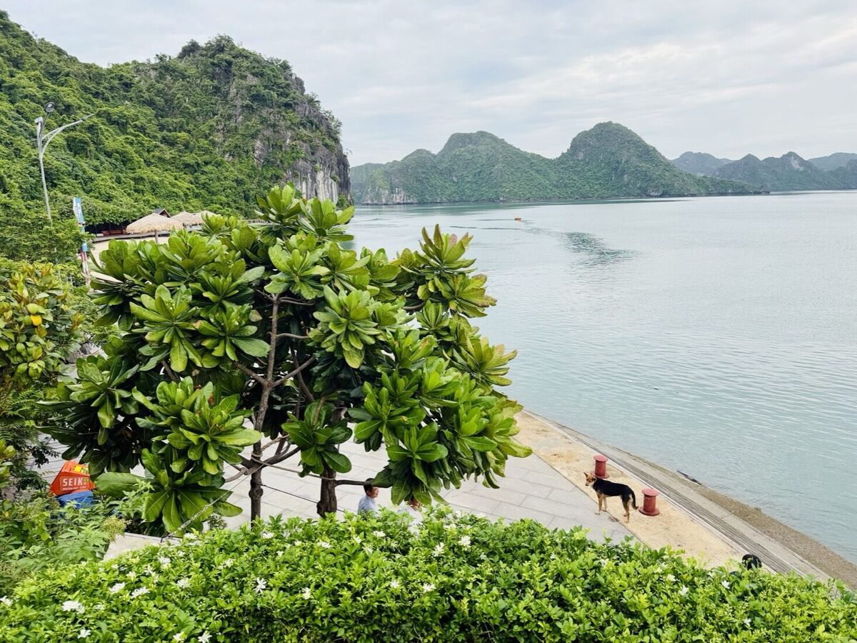 Du lịch Tây Ninh cần chuẩn bị gì — checklist đầy đủ