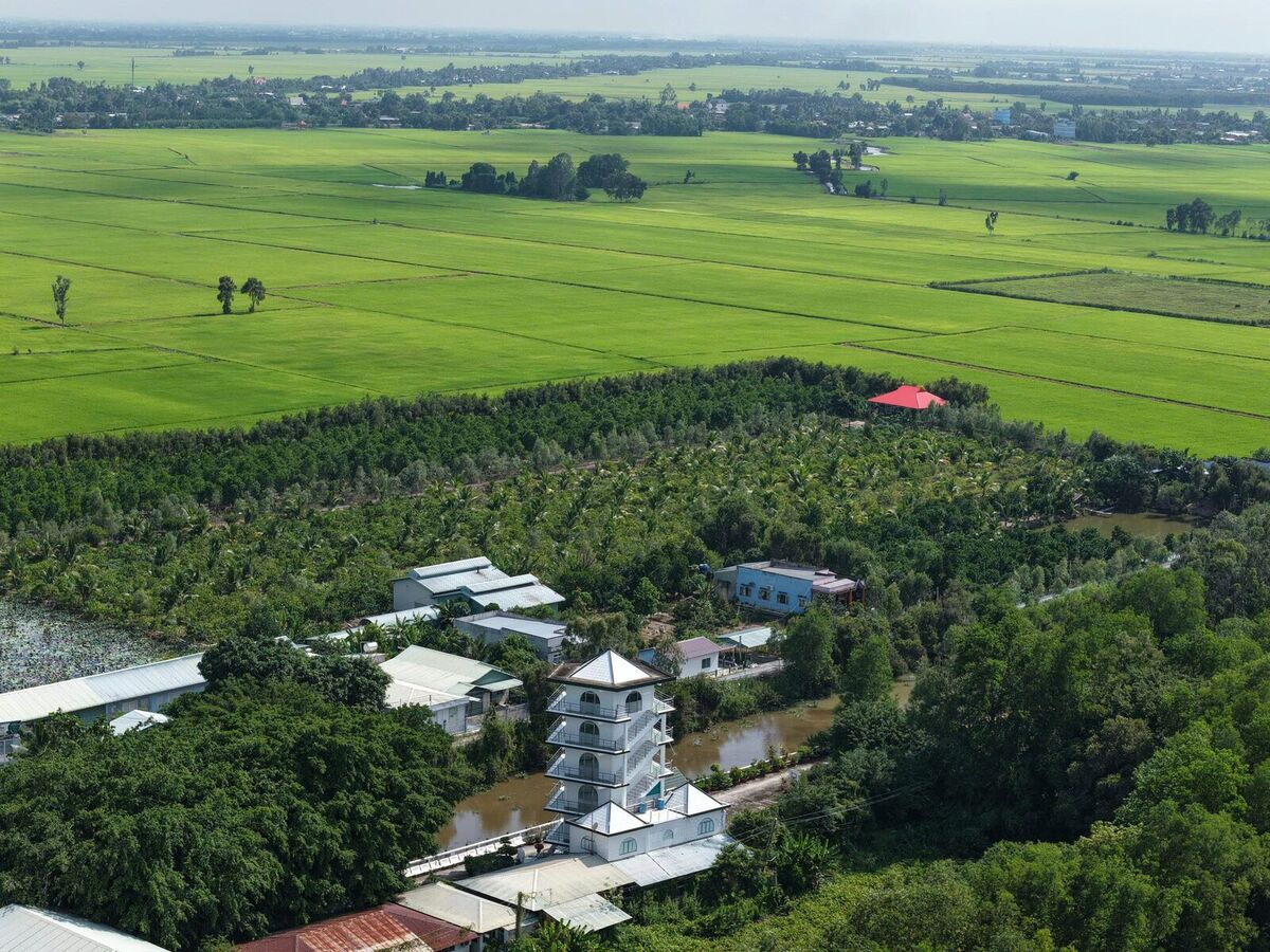 Rừng và vùng đất ngập nước Tây Ninh 3
